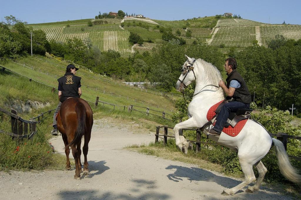 Aparthotel La Maragliana à Castel Rocchero Extérieur photo